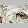 ft.walton.b.fl.16.html